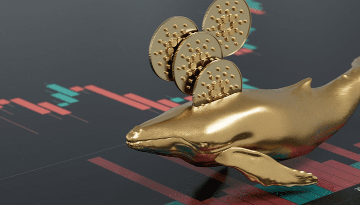 investor crypto institutional