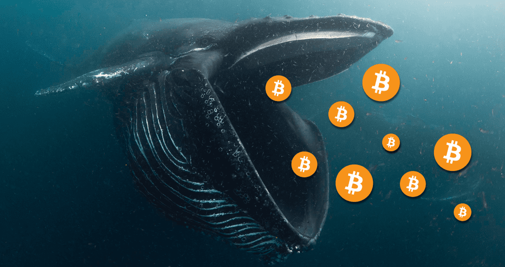 Make Money Crypto Signals
